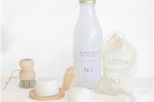 Schoonmaken met natuurlijke producten?