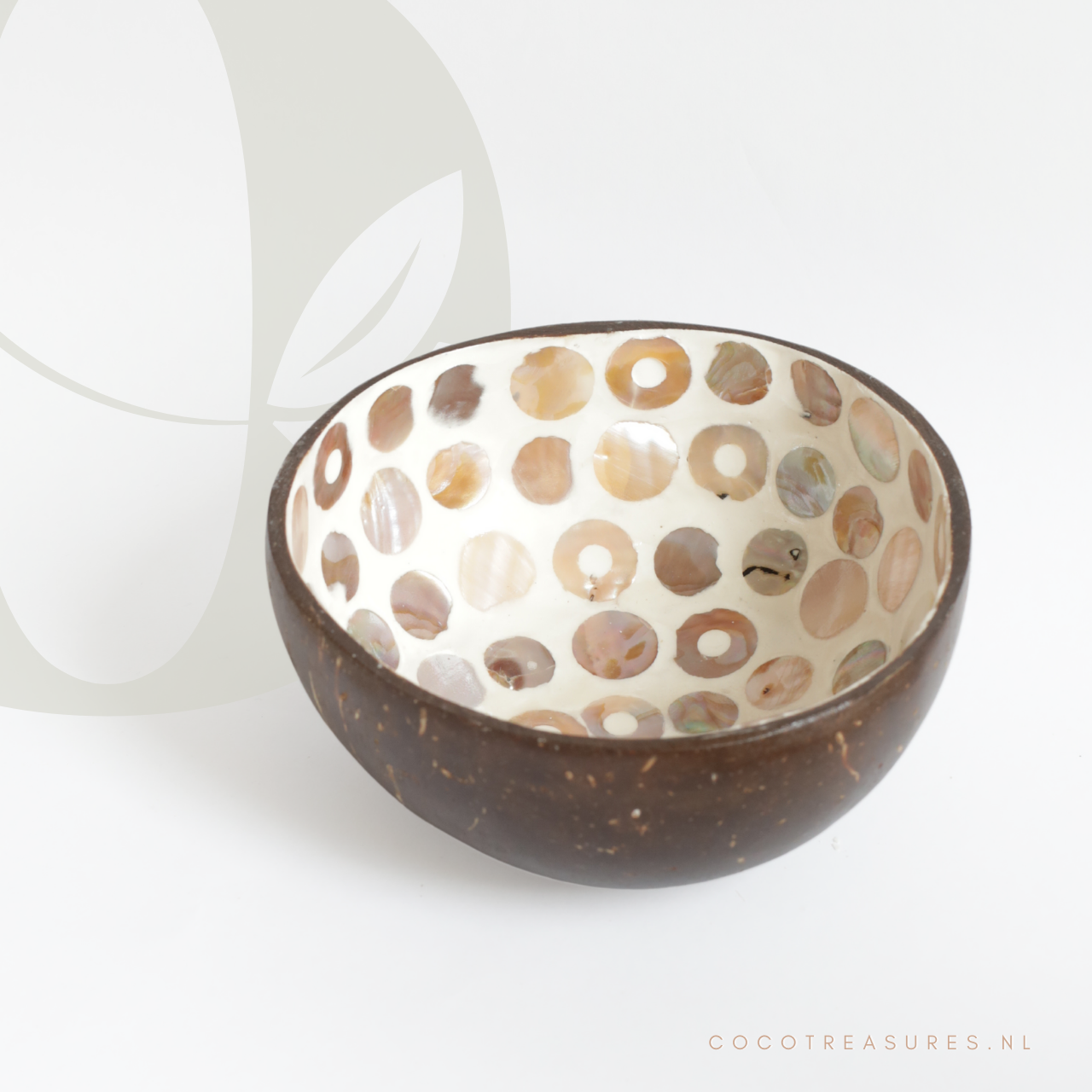 Kom kokosnoot | Seashell naturel