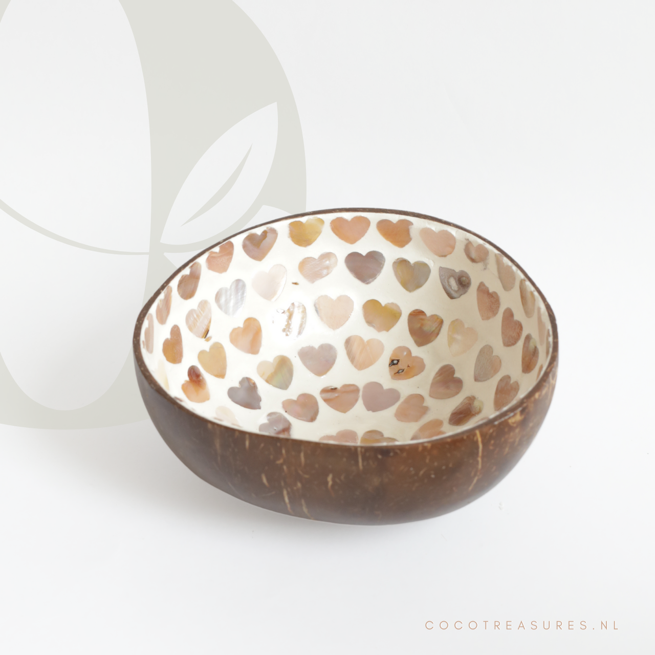 Kom kokosnoot | Seashell naturel