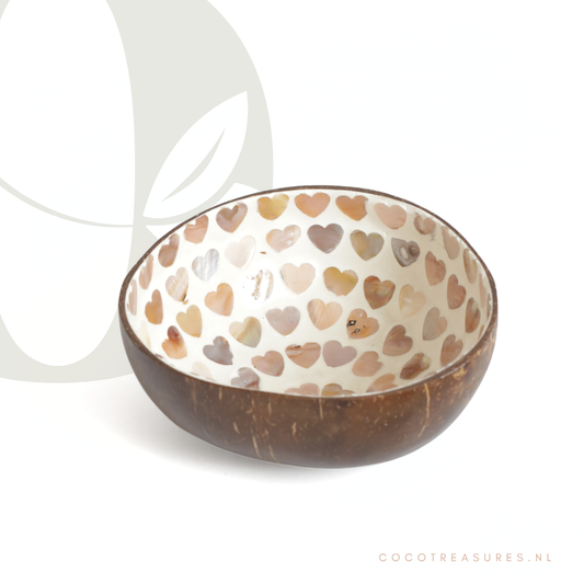 Kom kokosnoot | Seashell naturel