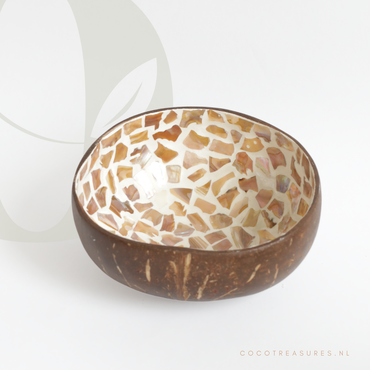 Kom kokosnoot | Seashell naturel