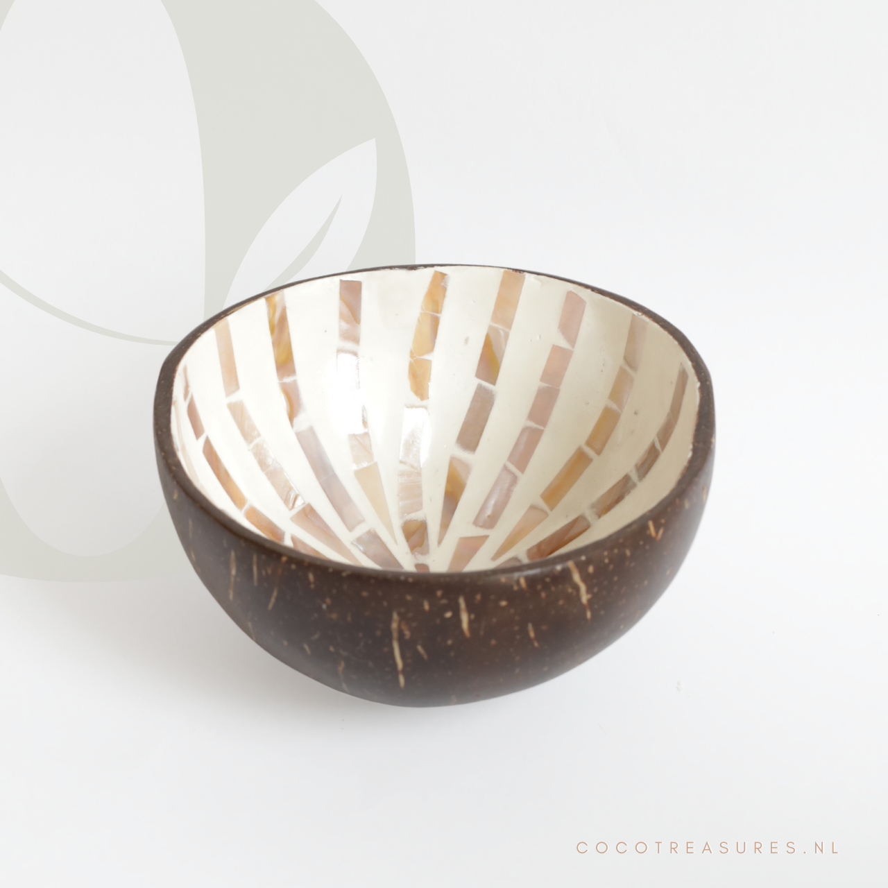 Kom kokosnoot | Seashell naturel